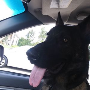 Meet your Posher, Timothy